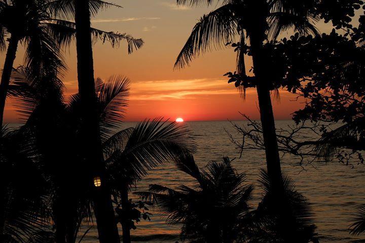 Paradise Palms Koh Chang Buitenkant foto